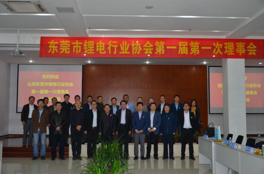 the first Council of lithium industry associations